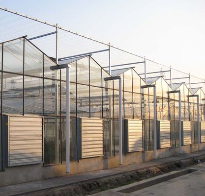 Τύπος Υδροπονικής Σώματος Καλλιέργειας Συστήματος Κατάλληλο για τις απαιτήσεις του πελάτη σας