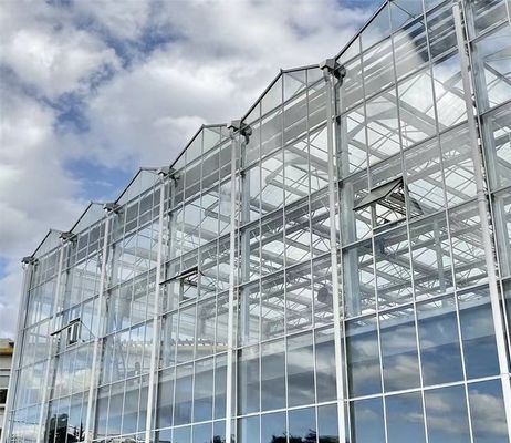 Σχήμα οροφής Πολλαπλής διάστασης Γυάλινο θερμοκήπιο με υδροπονική
