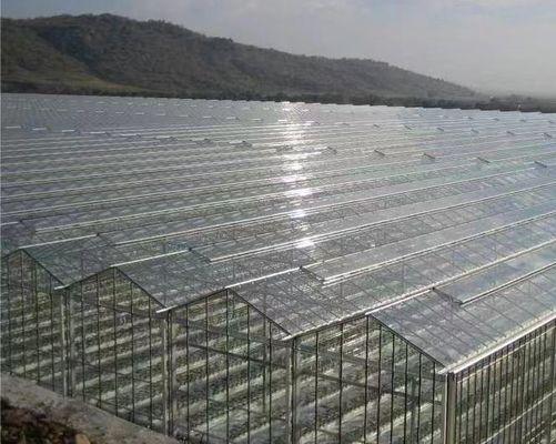 Καλό φως διαβίβαση γυάλινο κάλυμμα Venlo θερμοκήπιο με επιλογή προσαρμογής