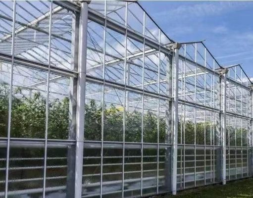 Καλό φως διαβίβαση γυάλινο κάλυμμα Venlo θερμοκήπιο με επιλογή προσαρμογής