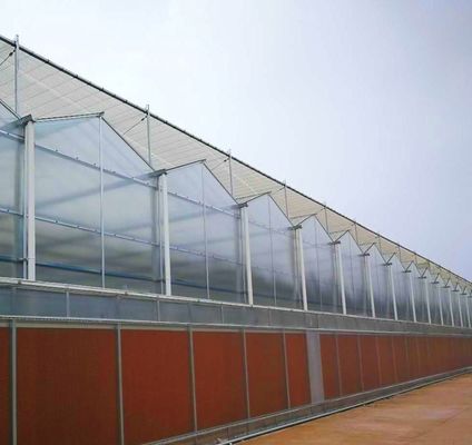 Πολυανθρακικό φύλλο θερμοκήπιο θερμοκήπιο Rdgu0808h-10mm με εξοπλισμό των ΗΠΑ και της γεωργίας